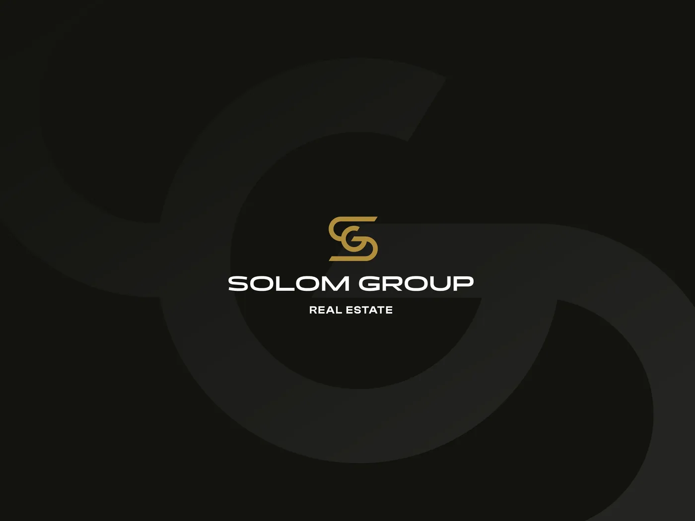 SOLOM GROUP · značka, web a systémy